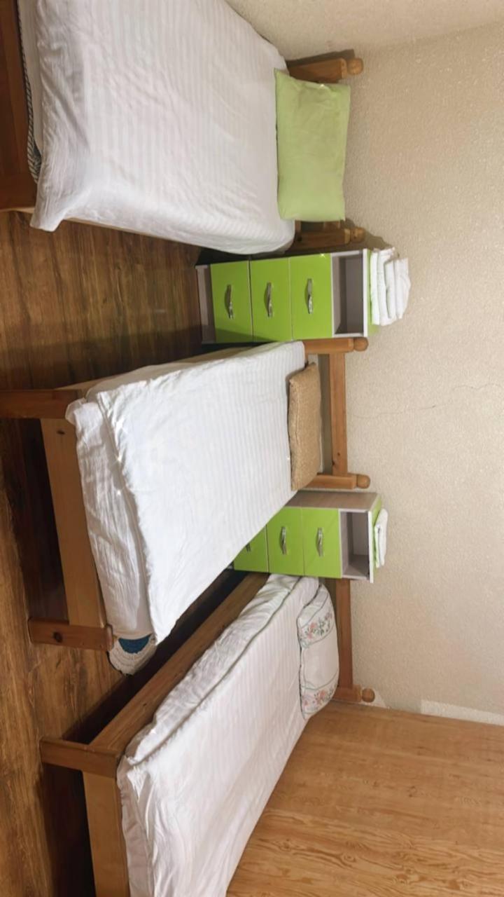 Rozalinda Guesthouse Naryn Bagian luar foto
